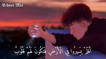 حالات وتس - افلم يسيروا في الارض فتكون لهم قلوب يعقلون بها - للقارئ |طارق محمد
