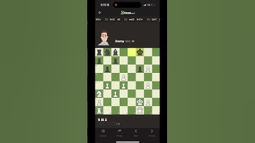 Absolutely smashin bots pt2 #chesscom #botscrap