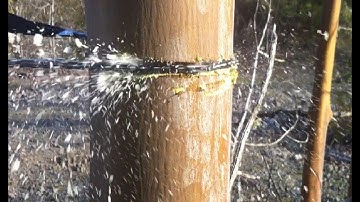 Sportsman Pocket Chainsaw Review - Best  Survival Saw 2021