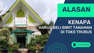 SERUUU...BELANJA BIBIT TANAMAN DAN PUPUK DI TOKO TRUBUS, DAN PASTINYA BANYAK PROMO!! screenshot 5