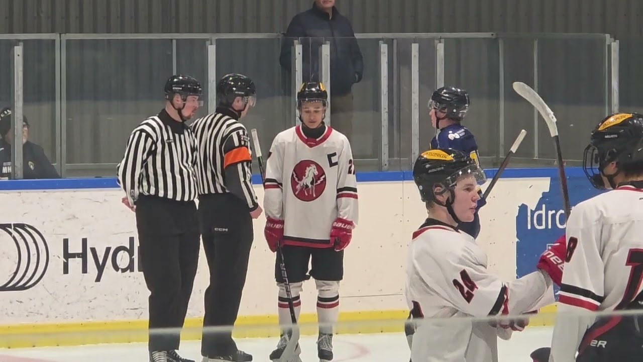 J20 Boro VHC - Vita Hästen 16/12-25 