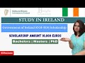 Government of ireland international education scholarships 20242025 application process