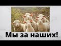 Народные массы требуют!