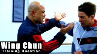 Wing Chun training - wing chun provoking a response Q76 screenshot 4