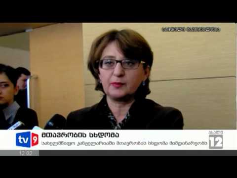 ახალი 12 | მთავრობის სხდომა | 07.02.13