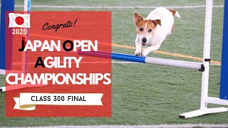 2020 Japan Open Agility Championships 【Final 300クラス】