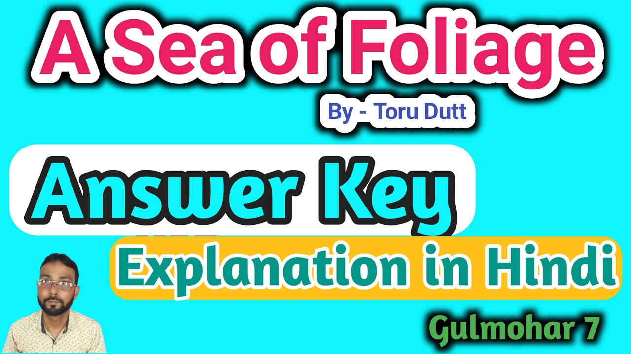 A Sea Of Foliage Answer Key Gulmohar Explanation In Hindi YouTube