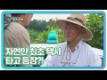 자연인 사상 최초로 택시를 타고 등장한 독일 교포 자연인!? MBN 250702 방송