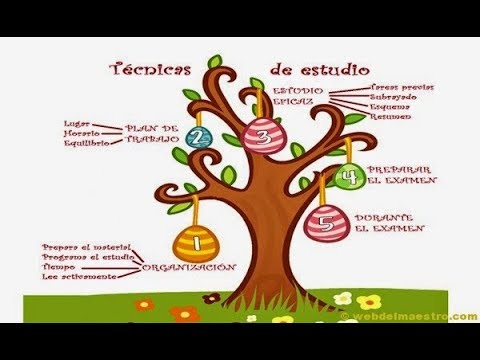 TECNICAS DE ESTUDIO