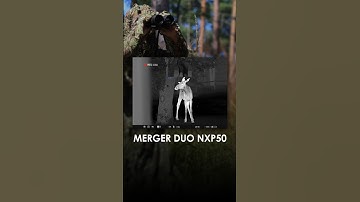 One device, two channels working together to reveal the night’s adventures. #pulsarvision