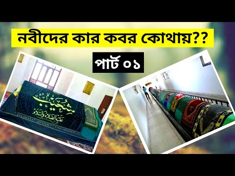 ভিডিও: কোন সমাধিতে সবচেয়ে বেশি সিলিকা রয়েছে?