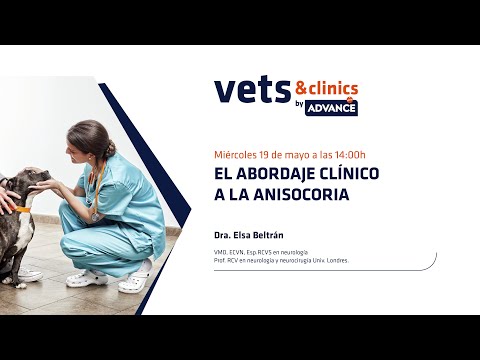 Video: Información sobre el glaucoma canino