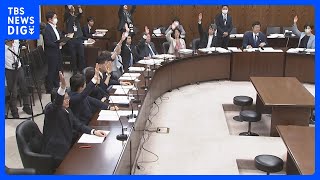 【速報】日本版DBS法案　参議院の委員会で可決｜TBS NEWS DIG