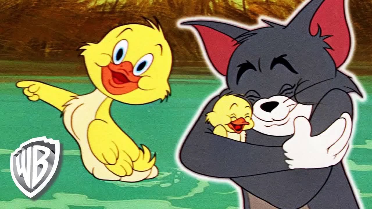 tom jerry cartoon youtube video