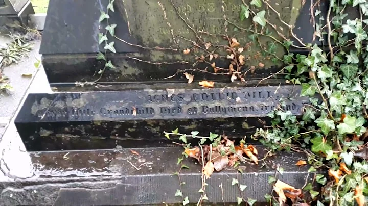 FAMOUS GRAVE- The Final Resting Place Of Alfred G ...