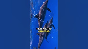 The 4 Cognitive Types for Better Learning 🧠