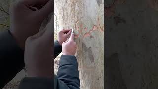 rehber Shaheed khamenei Jan #khamenei #viral #artist #allah