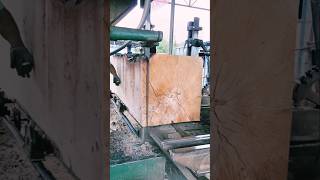 Incredible Industrial Band Saw Cutting a Massive Log