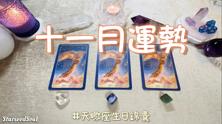 🤍塔羅占卜| 🌙月運預測篇：十一月運勢：揚昇中+ ♏️天蠍的生日錦囊(愛情/事業財富/學業/健康等方面的運勢預測) - 天天要聞