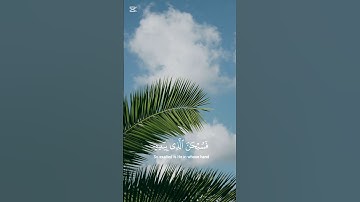 إِنَّمَا أَمْرُهُ إِذَا أَرَادَ شَيْئًا أَن يَقُولَ لَهُ كُن فَيَكُونُ - سورة يس #quran