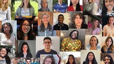 Toxicology Mentoring and Skills Development Training Program Fundraiser