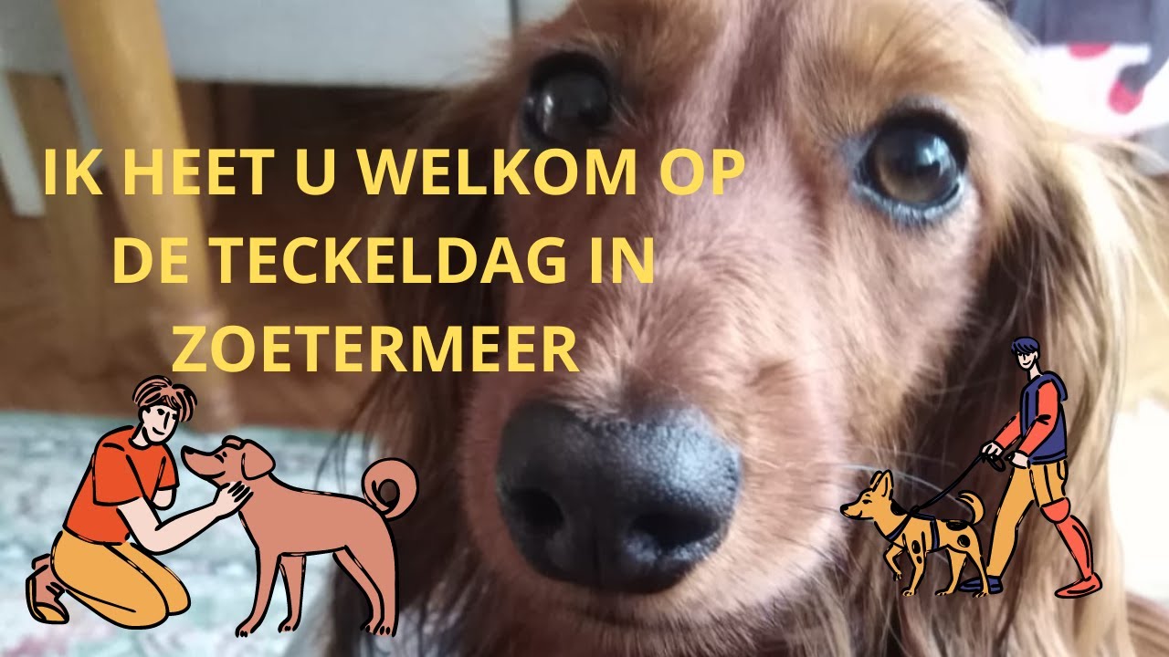 TECKELDAG ZOETERMEER 6 mei 2023  HD 1080p