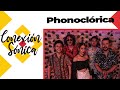Capture de la vidéo Phonoclórica - Festival Conexión Sónica