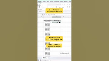 Partially Mask Sensitive Data in Excel