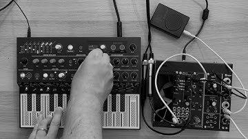 spaced out || chelidon frame || buddha machine, microfreak and modular synths