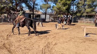 Roping Clinic - The Basics Part 2