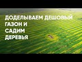 Продолжаем озеленение участка. Высадка деревьев. Ива шаровидная.