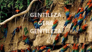 Video thumbnail of "GENTILEZA GERA GENTILEZA - Mambembrincantes (AFOXÉ DA GENTILEZA)"
