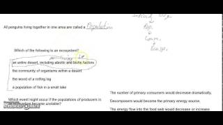 Unit 5 Mid Unit Test Retake Biology B