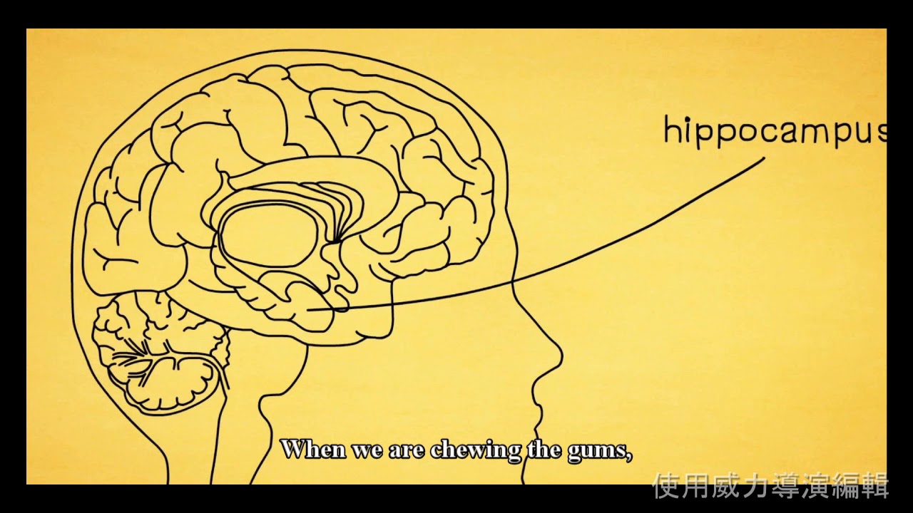 GE 2401 T05 Chewing Gum and Concentration by Amy, Constant, Hanna