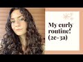 My Curly Hair Routine! (2c-3a)