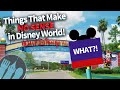 15 Things That Make NO Sense in Disney World!