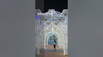 Exposing the Secrets: How to Create Stunning Nikon Cinematic Footage with RED Luts