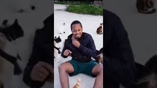 🇨🇾Cat sanctuary in Cyprus #cat #cats #short #cyprus #pets #travel #backpacking #nicepeople #paphos