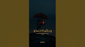 إِن كَانَتْ إِلَّا صَيْحَةًۭ وَٰحِدَةًۭ فَإِذَا هُمْ#القارئ_عبدالله_احمد_شعبان #قران_كريم #quran