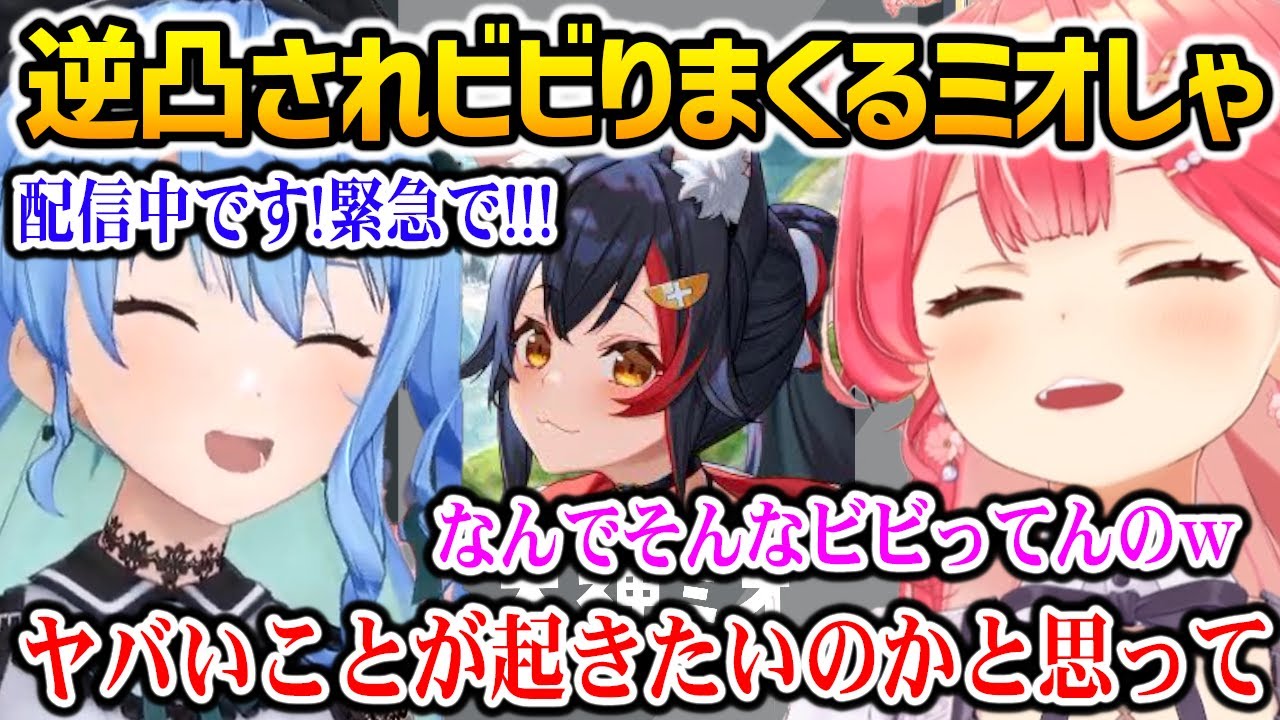 みこめっとに逆凸されガチビビりするミオしゃｗ【ホロライブ】