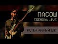 Пасош - Испуганный ёж (ЕБЕМОЛЬ live)