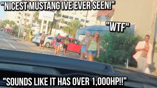REACTIONS to the LOUD Widebody Mustang! *Breaking Necks*