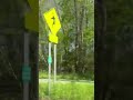 Train Race