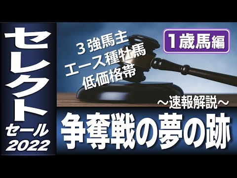 セレクトセール22速報 １歳馬編 日本一のセールから学ぶべき３つのトレンド 計算する血統 No 168 Youtube