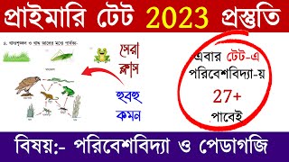 primary tet preparation 2023 | wb primary tet preparation 2023 | primary tet evs classes