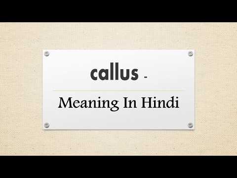 #callus-callus-meaning-,callus-(कैलस)-meaning-in-hindi