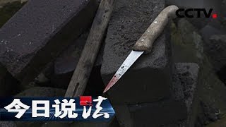 《今日说法》偏僻山村 独居女人遭人残杀死后被奸 凶手的特殊癖好成了破案关键 20150628 | CCTV今日说法官方频道