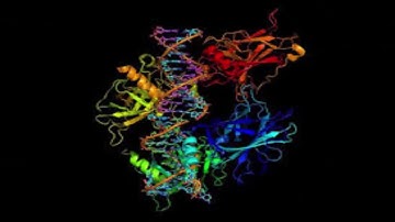glycan analysis by mass spectrometry