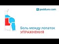 Боль под (между) лопатками. Причины и лечение дома!