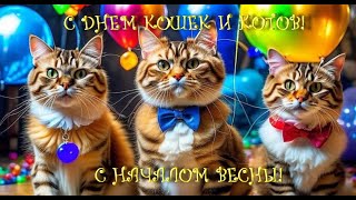 С ДНЕМ КОШЕК И КОТОВ! С ПРИХОДОМ ВЕСНЫ! Шуточное поздравление